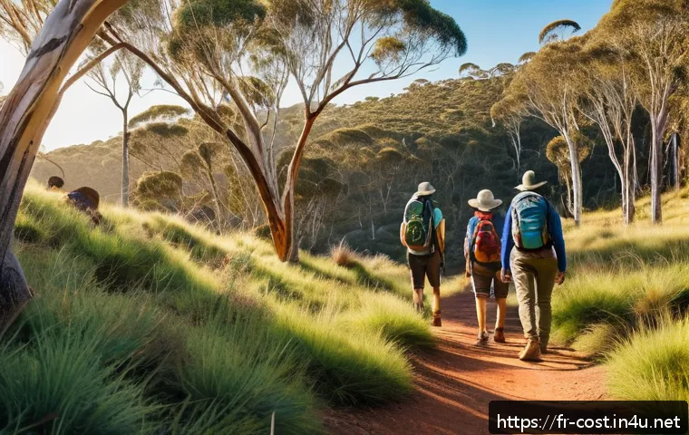 Combien coûte vraiment un Working Holiday en Australie : budget complet et astuces pour économiser 4 호주 워킹홀리데이 비용 관련 이미지 2