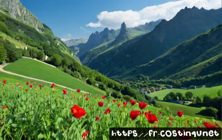 Assurance auto : comment estimer le coût et comparer les garanties utiles 4 자동차 보험료 비용 관련 이미지 2